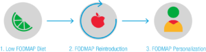 Fases de la dieta baja en FODMAP Cómo hacer una dieta baja en FODMAP