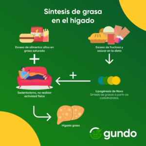 Hígado graso Causas del hígado graso