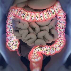 Microbiota y síndrome de intestino irritable Microbiota intestinal