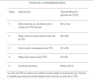 Etapas de la enfermedad renal