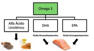 Omega 3 e hígado graso