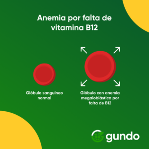 anemia por falta de vitamina B12