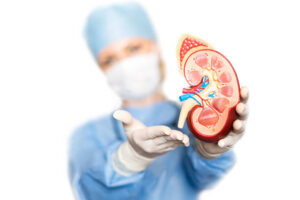 Tratamiento nutricional en la enfermedad renal